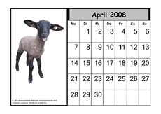 Tier-Kalender-08-04.pdf